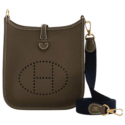 hermes mini evelyne etain|Hermes evelyne mini tpm.